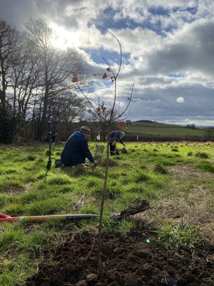 People planting trees