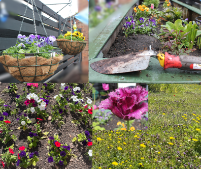 Image collage: hanging baskets, raised bed, trowel and flowers